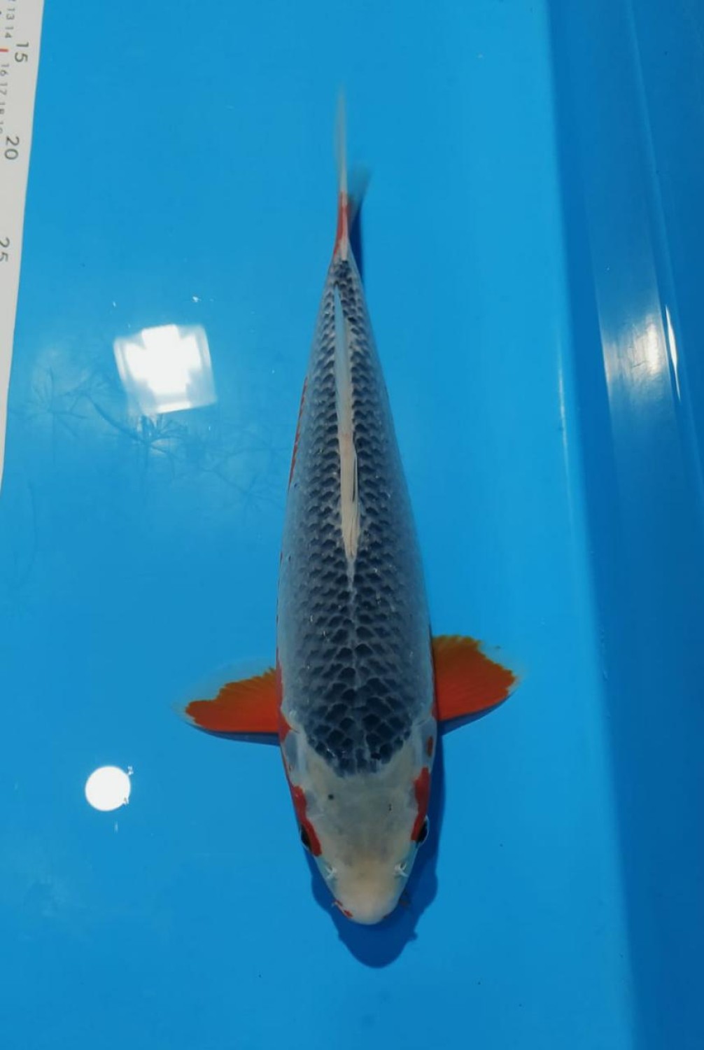 Juara 2