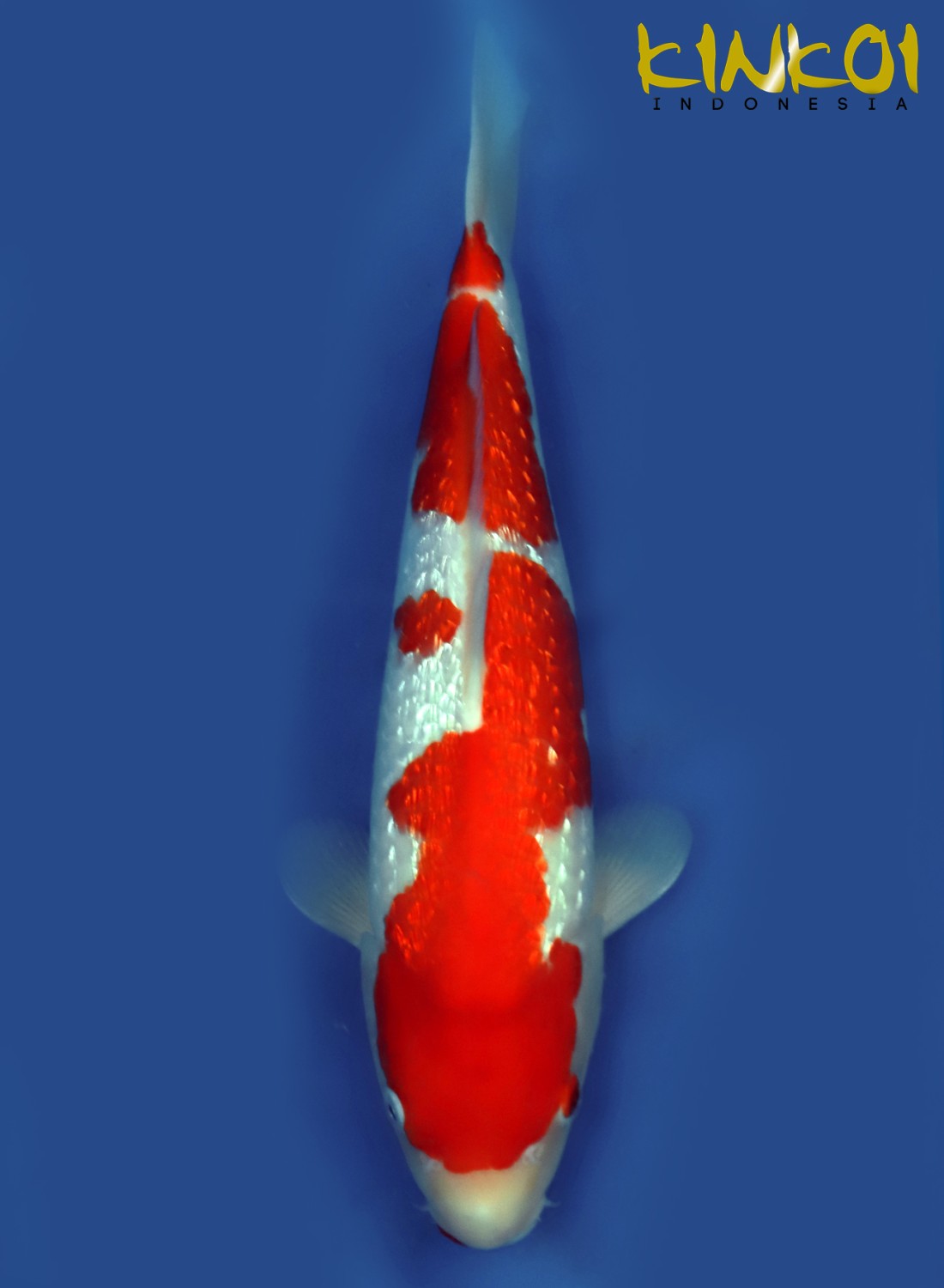 Juara 4