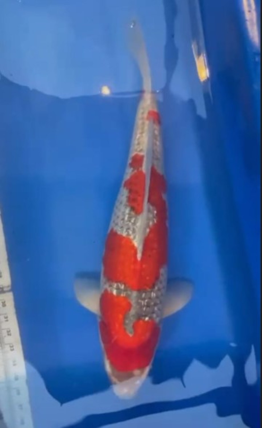 Juara 3