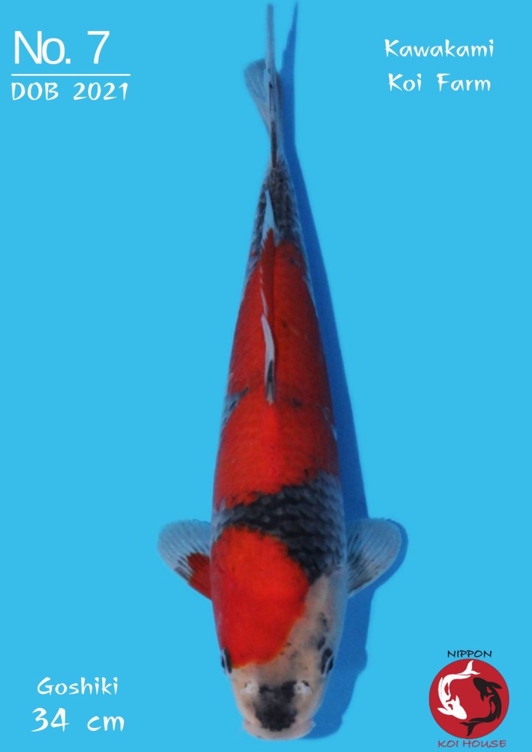 Juara 2