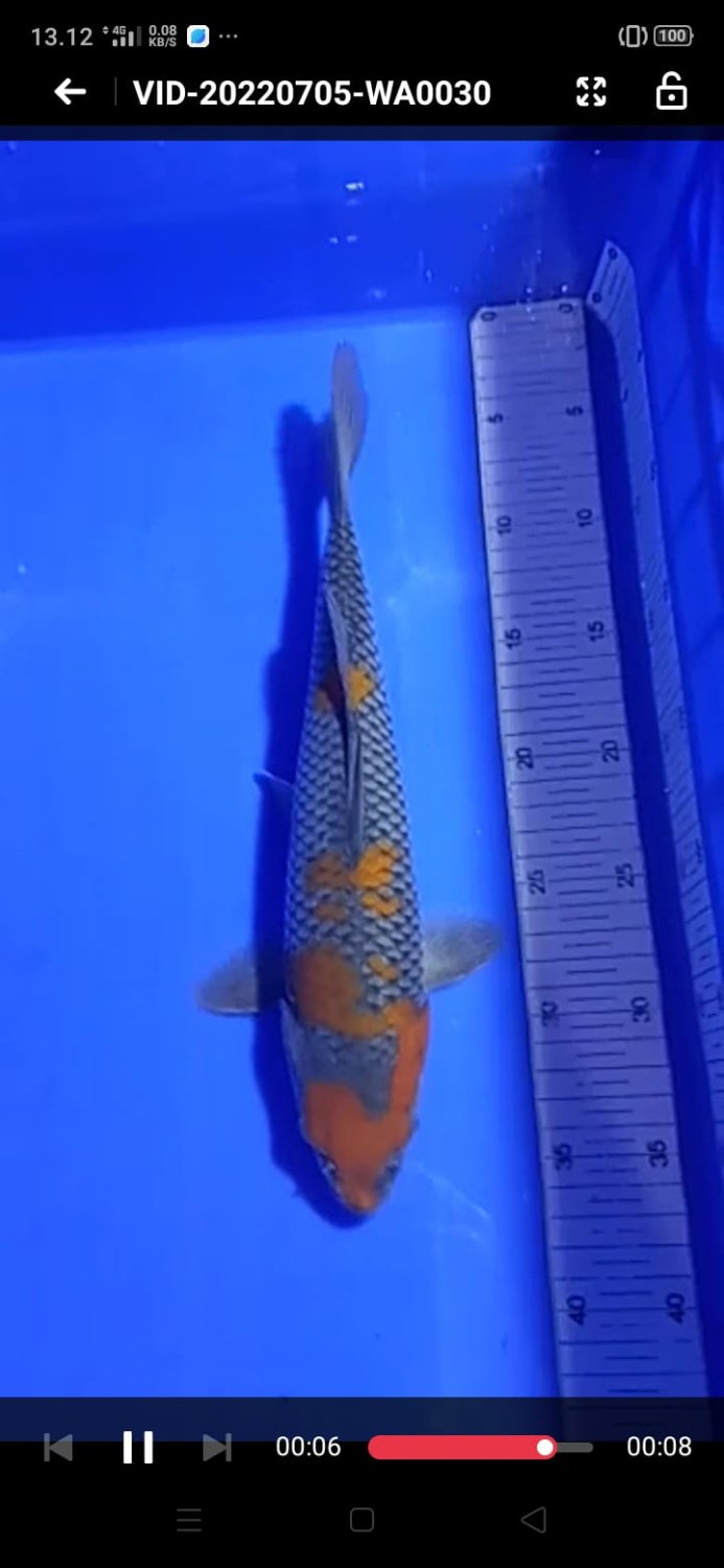 Juara 1