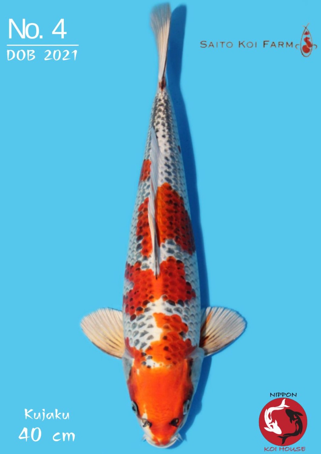 Juara 5