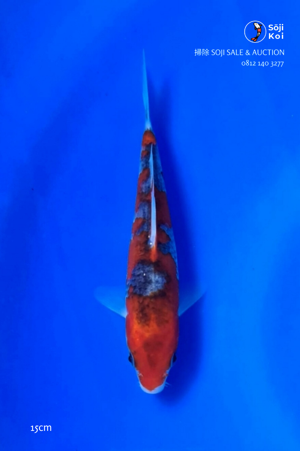 Juara 3