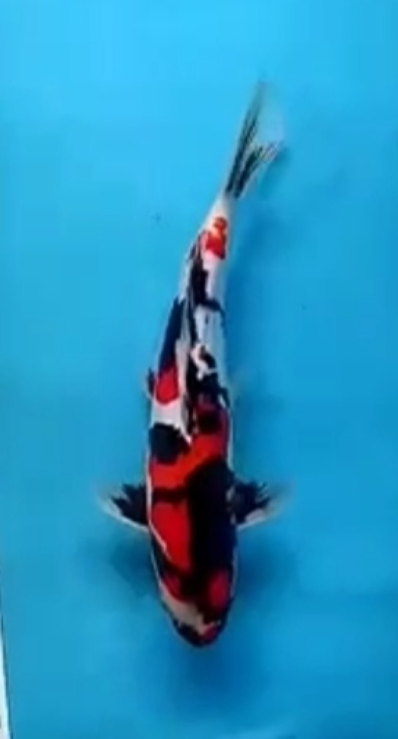 Juara 2