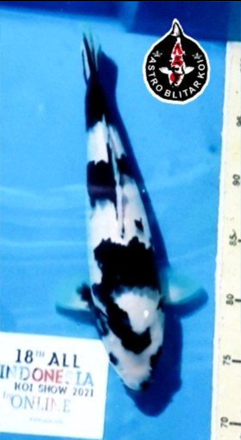 Juara 1