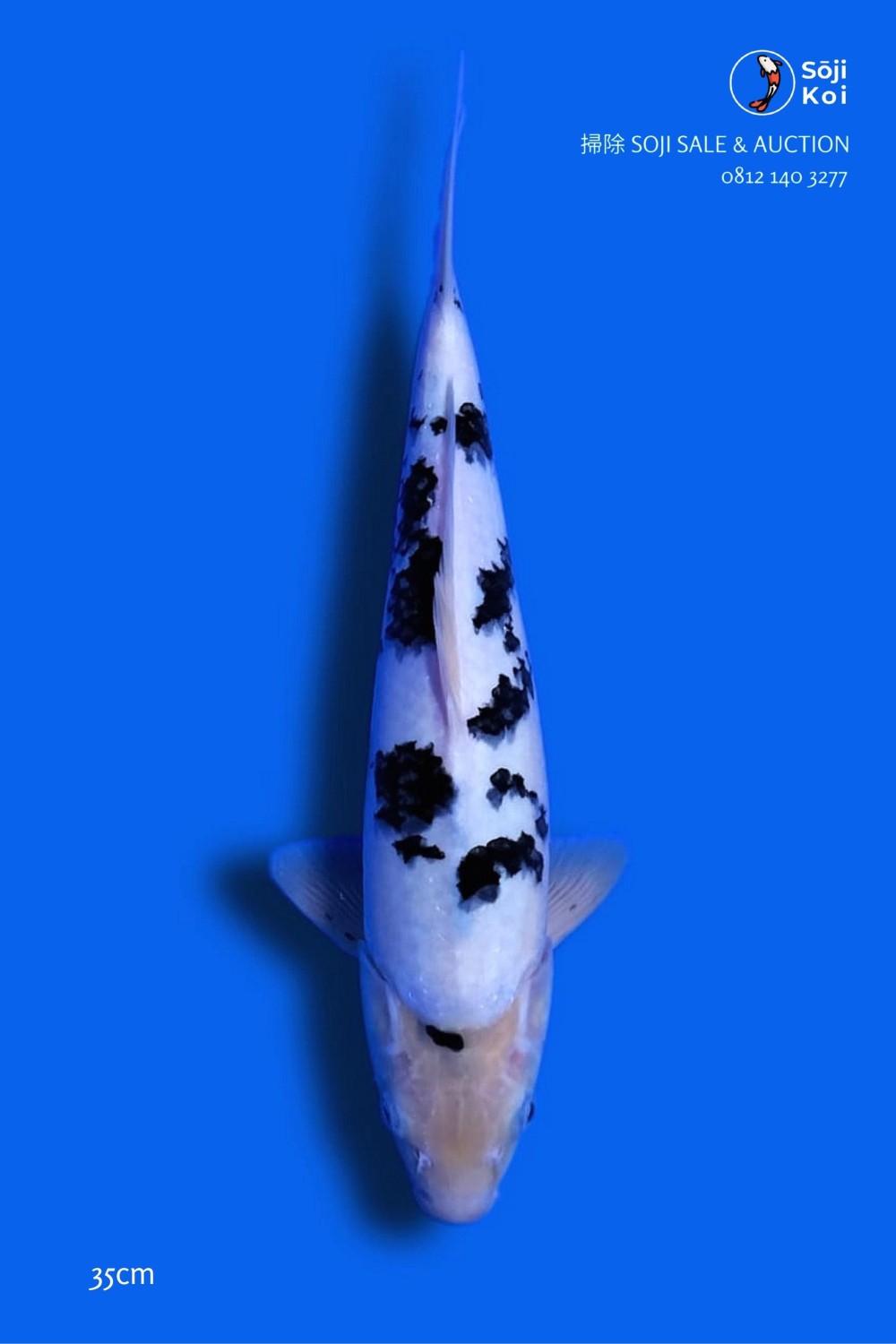 Juara 3