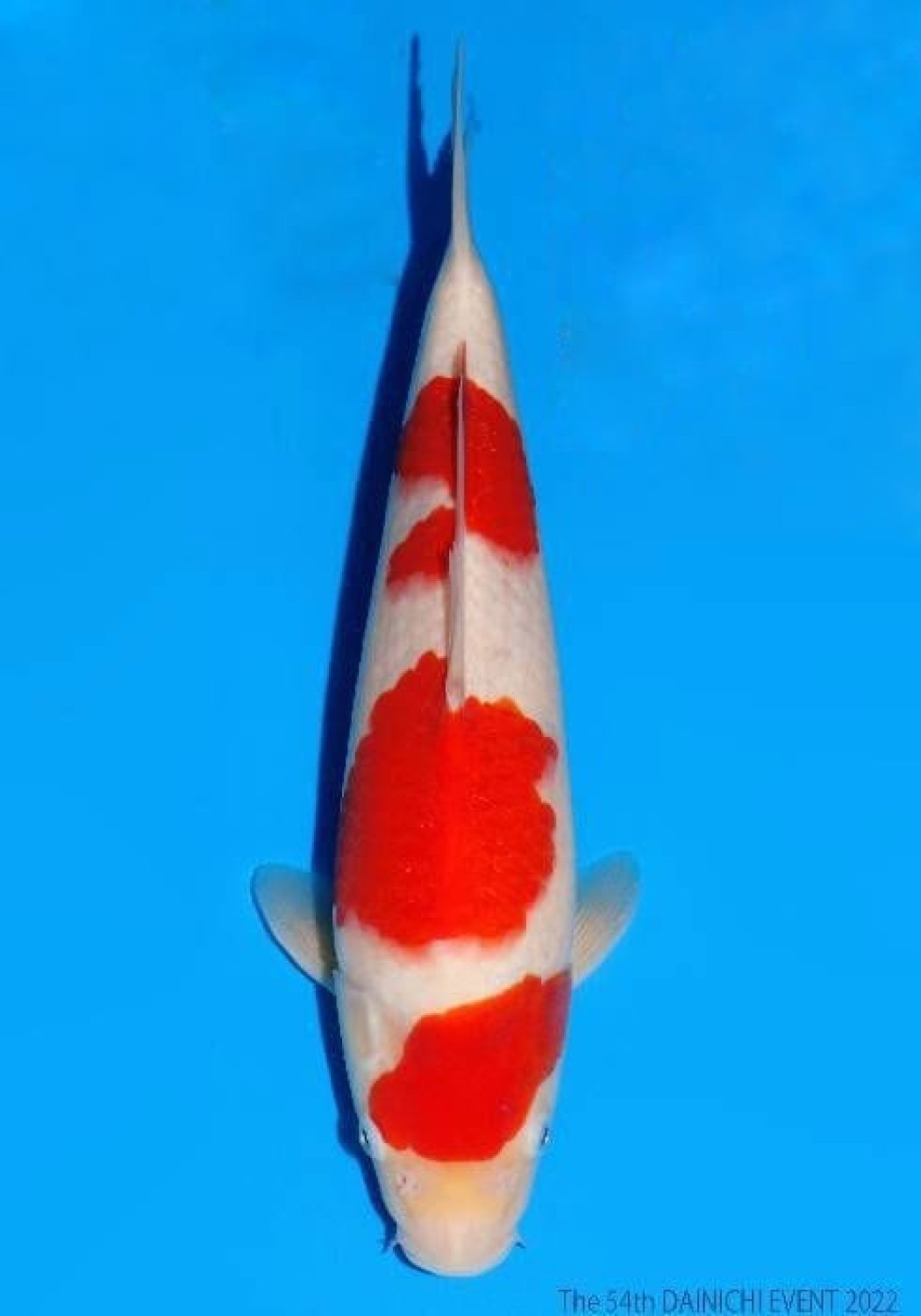 Juara 1