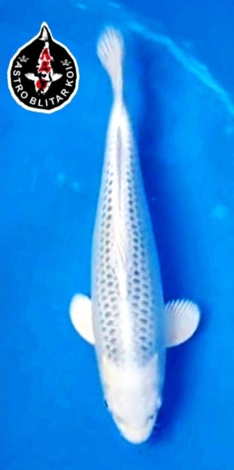Juara 1