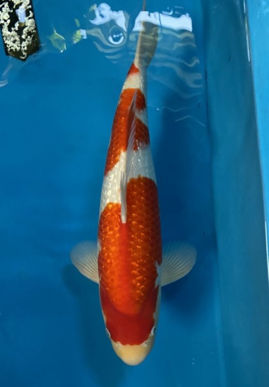 Juara 2