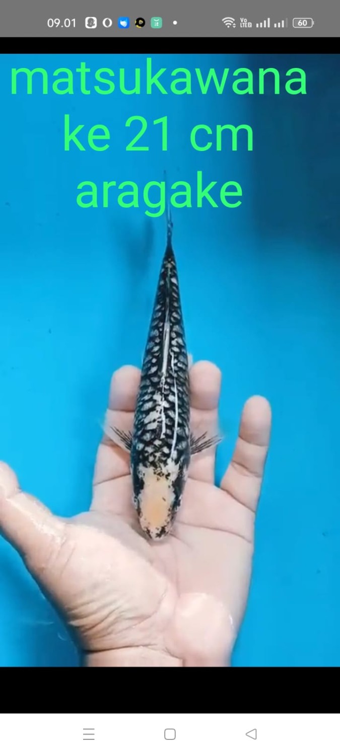 Juara 4