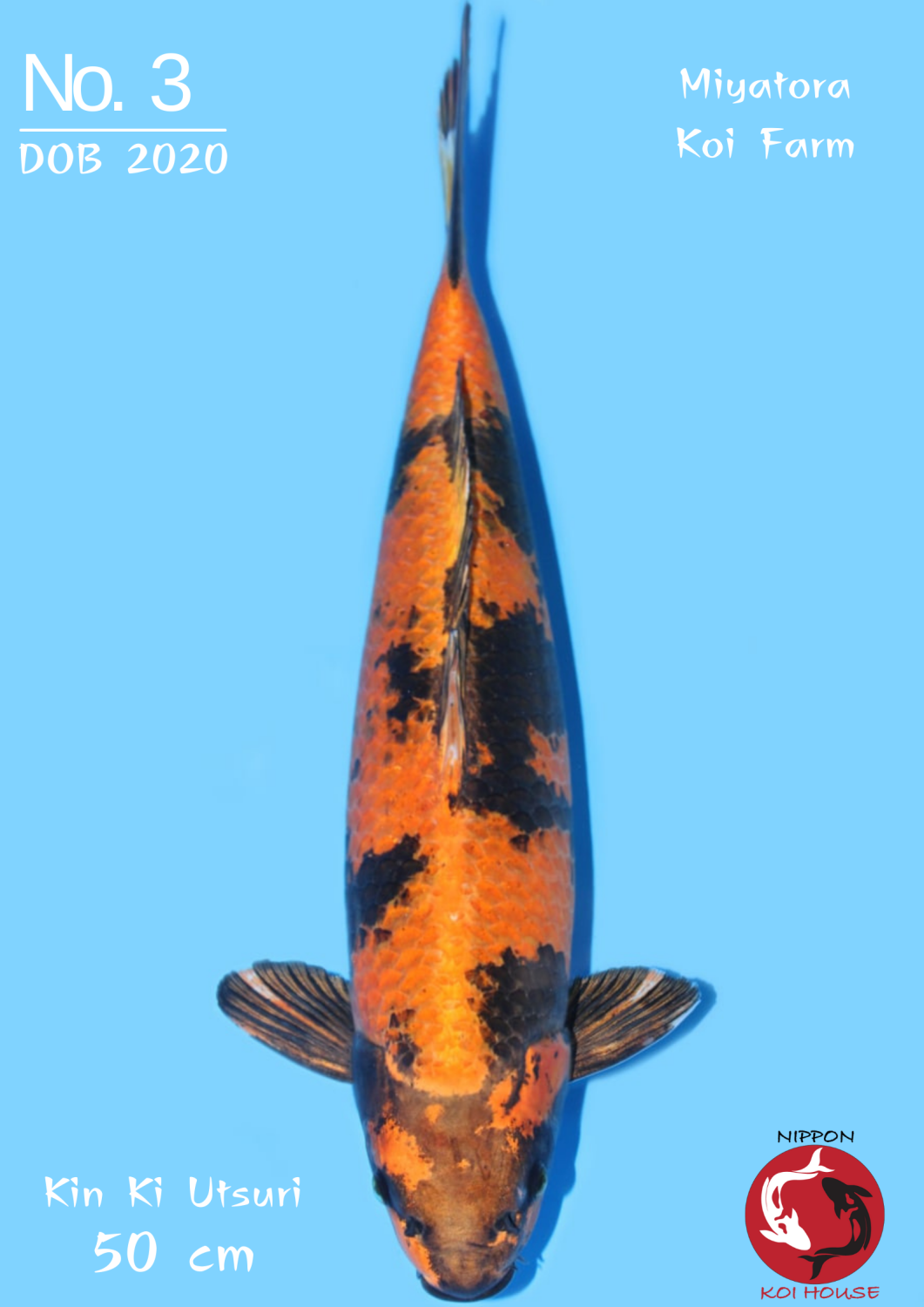 Juara 2