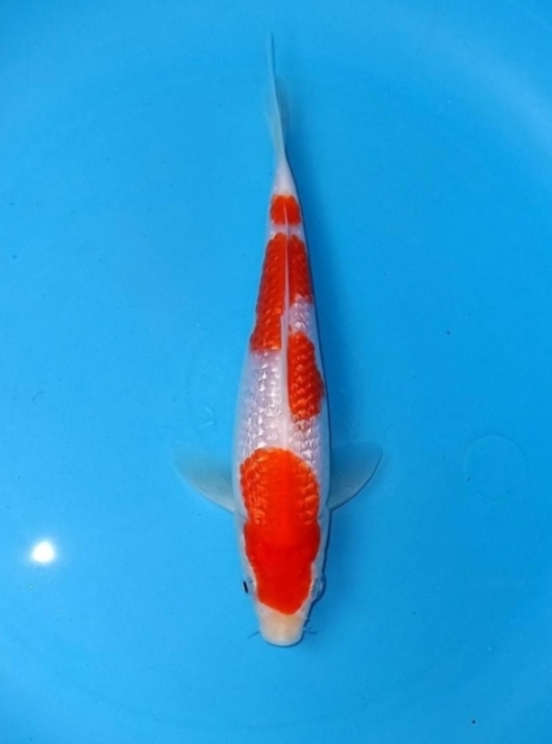 Juara 2