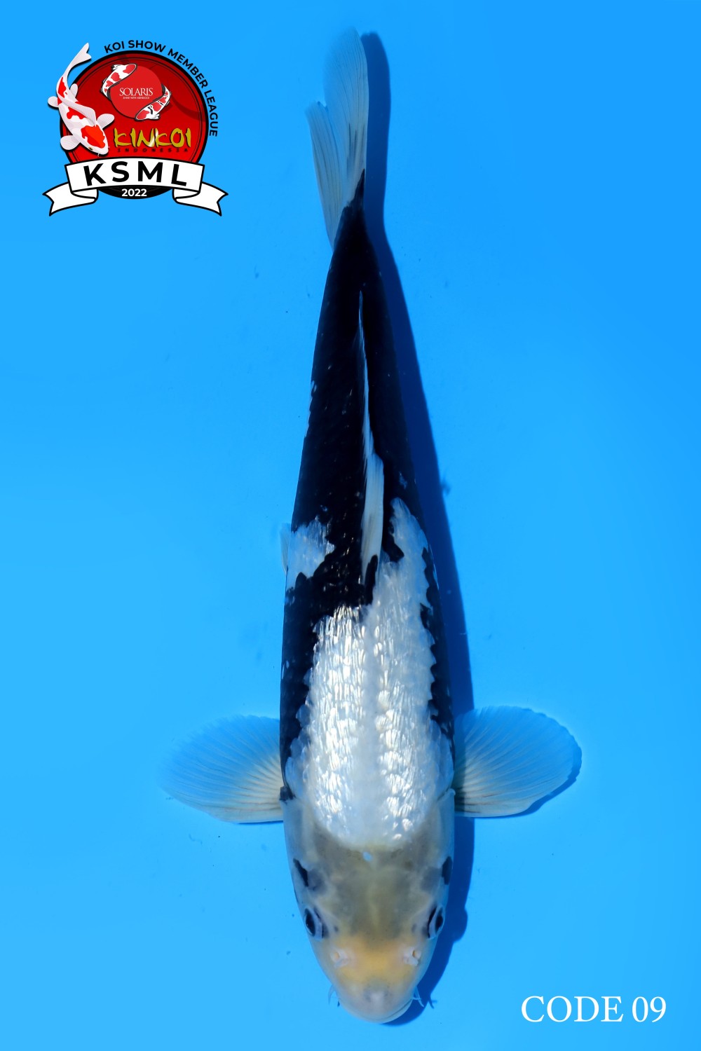 Juara 1