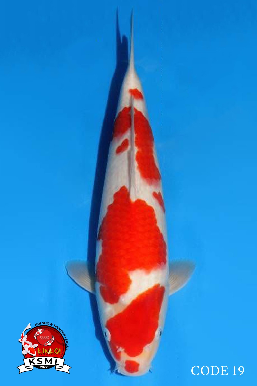Juara 5
