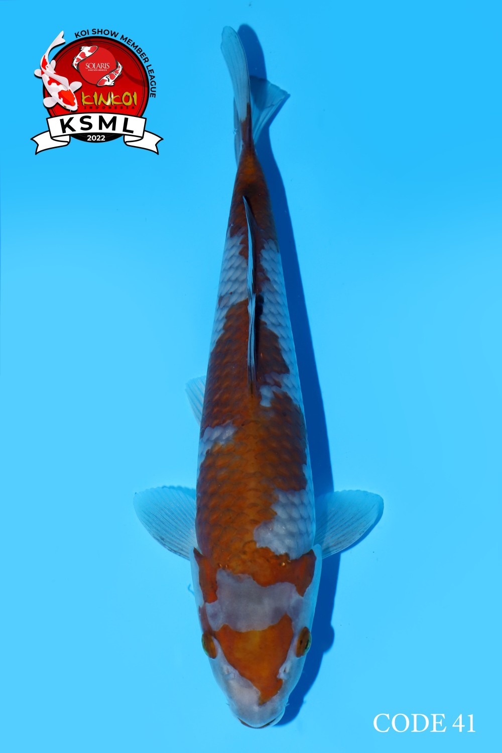 Juara 1