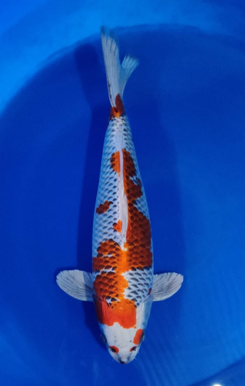 Juara 2