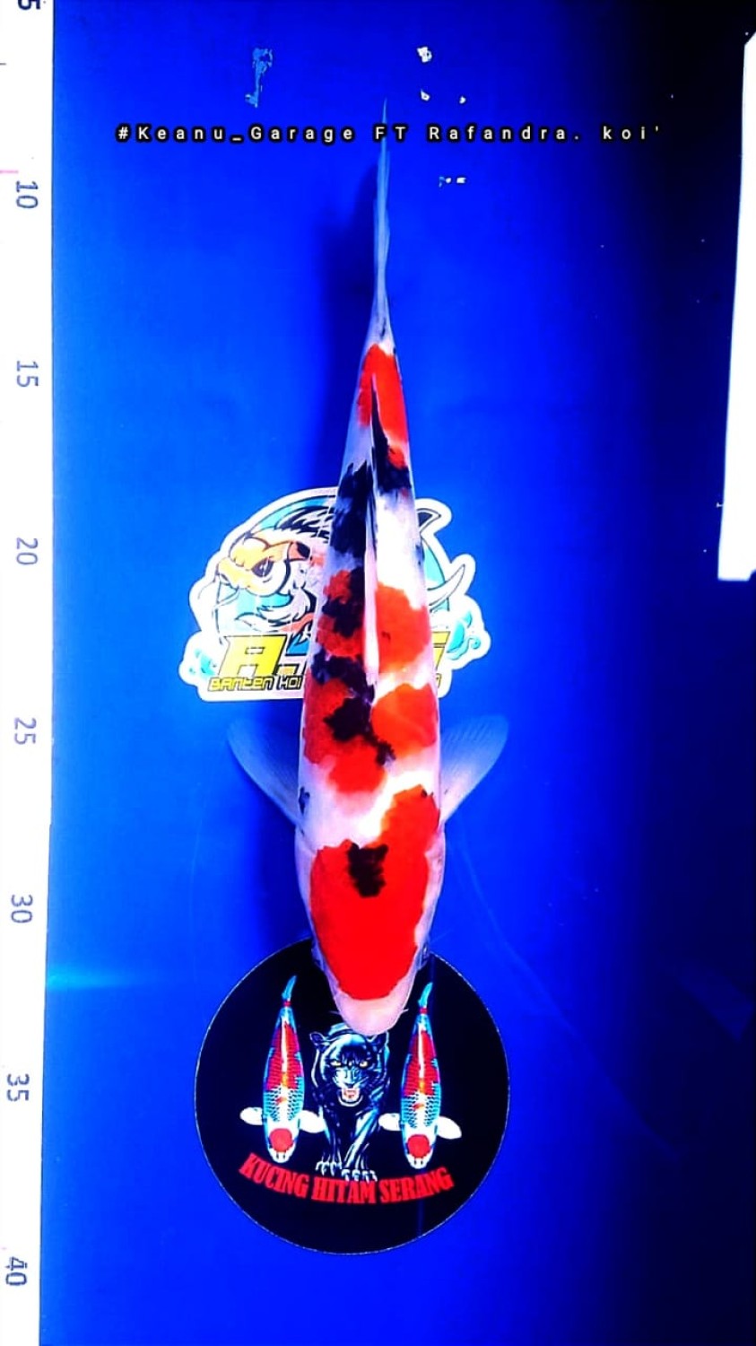 Juara 4