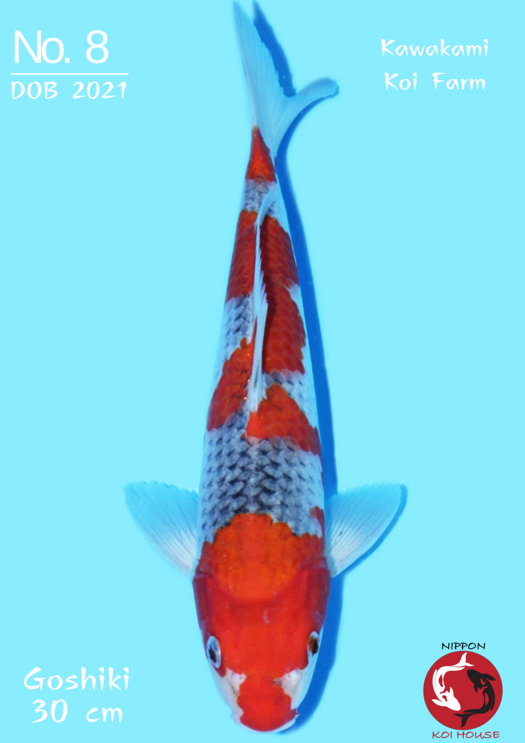 Juara 1