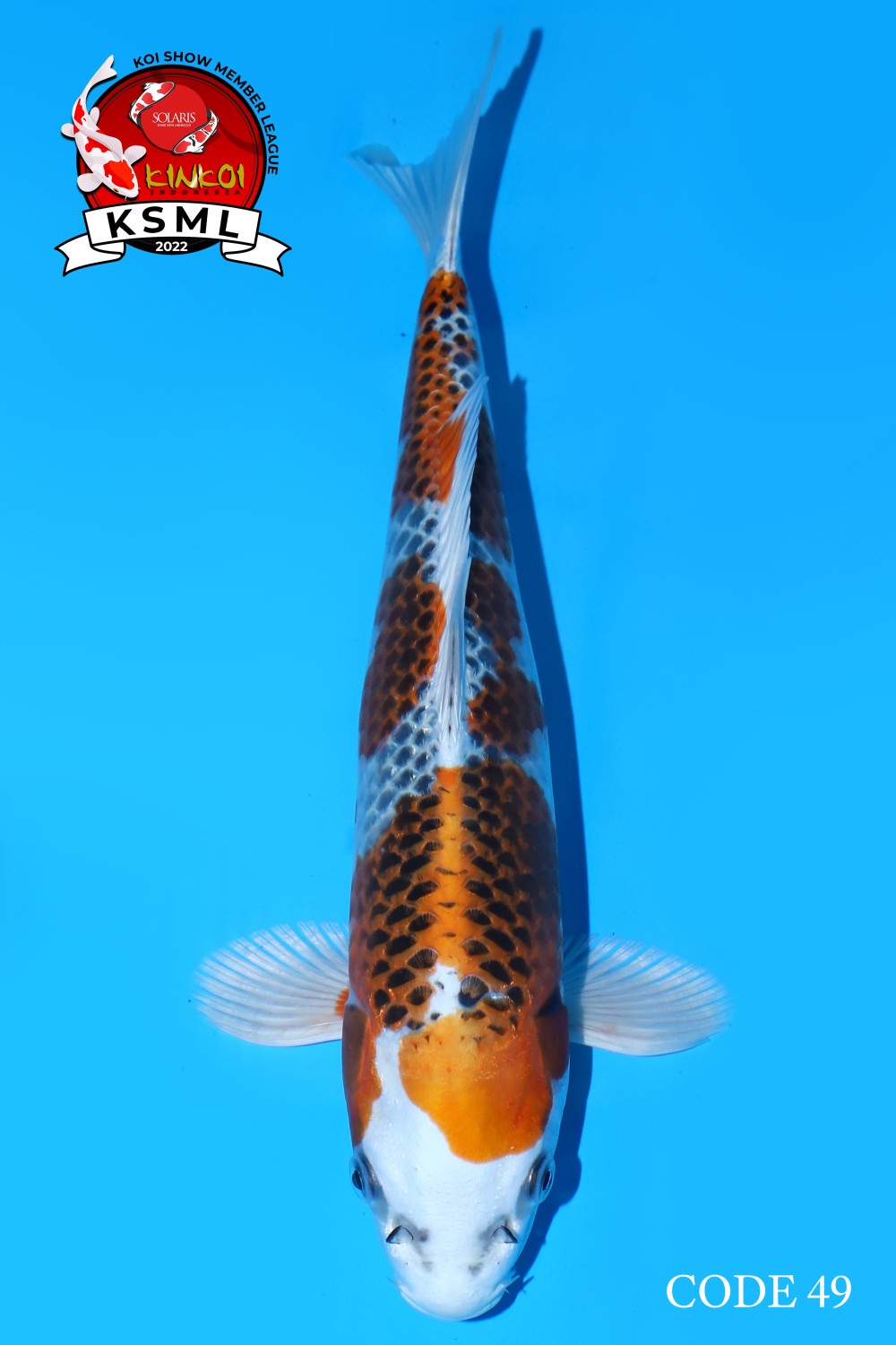 Juara 2