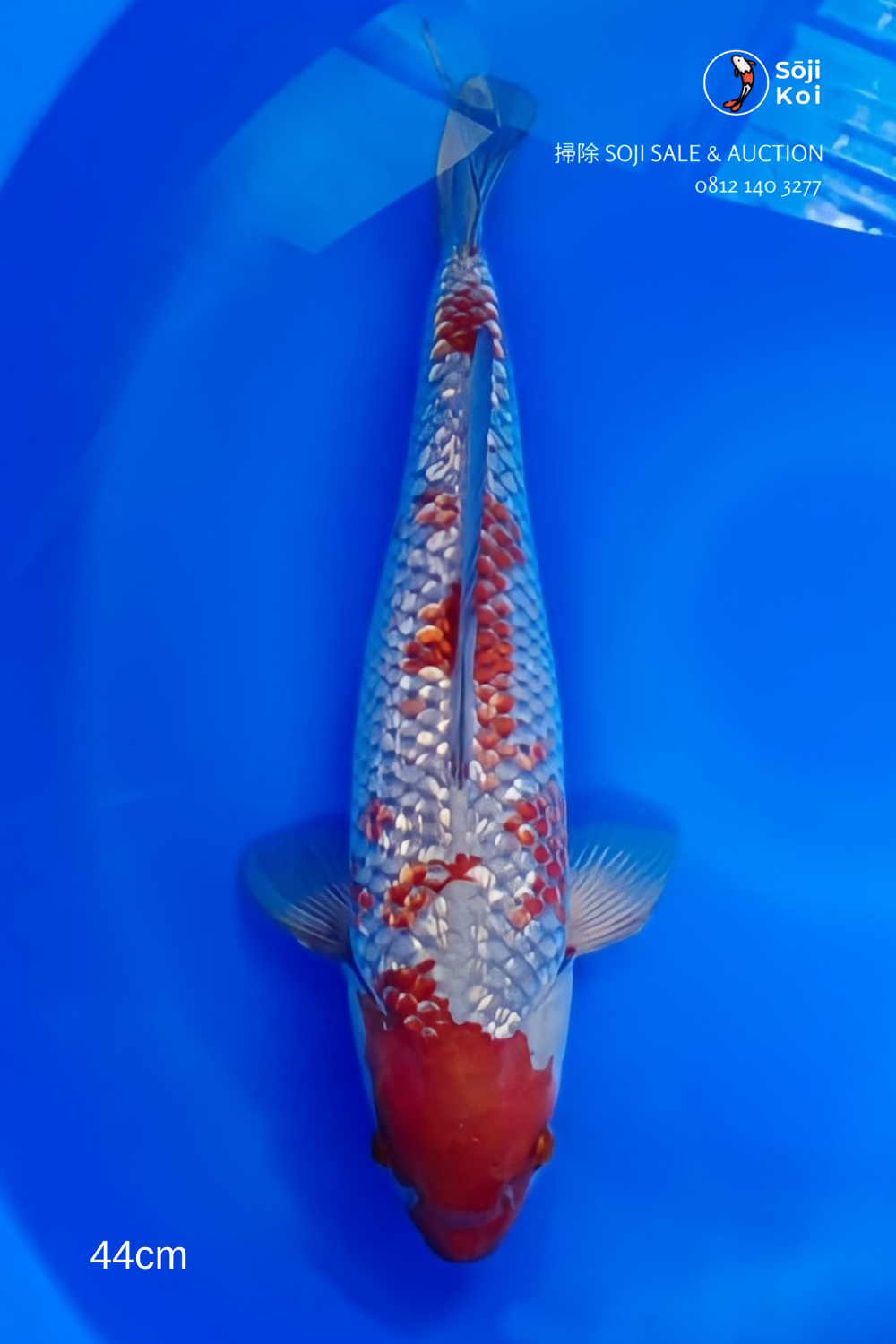 Juara 2