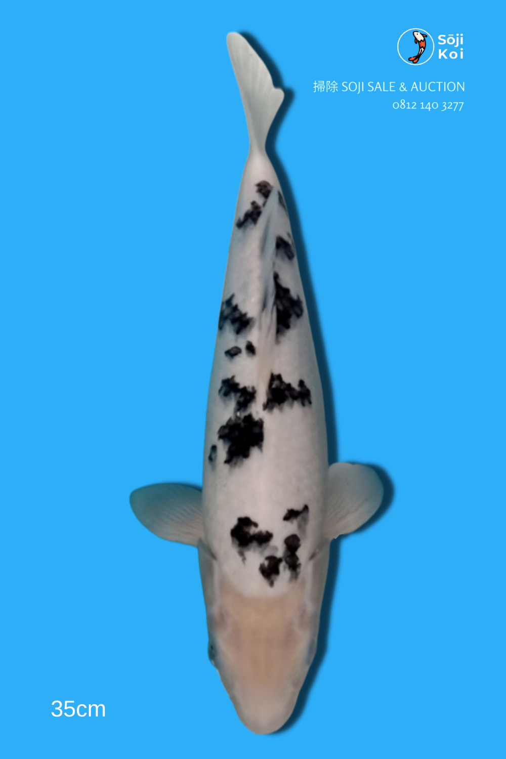 Juara 1