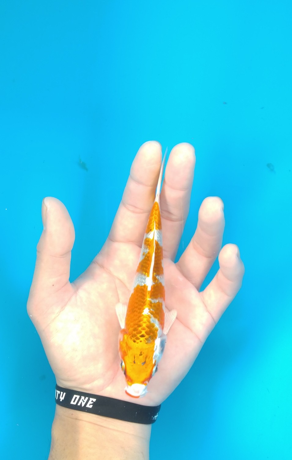 Juara 1