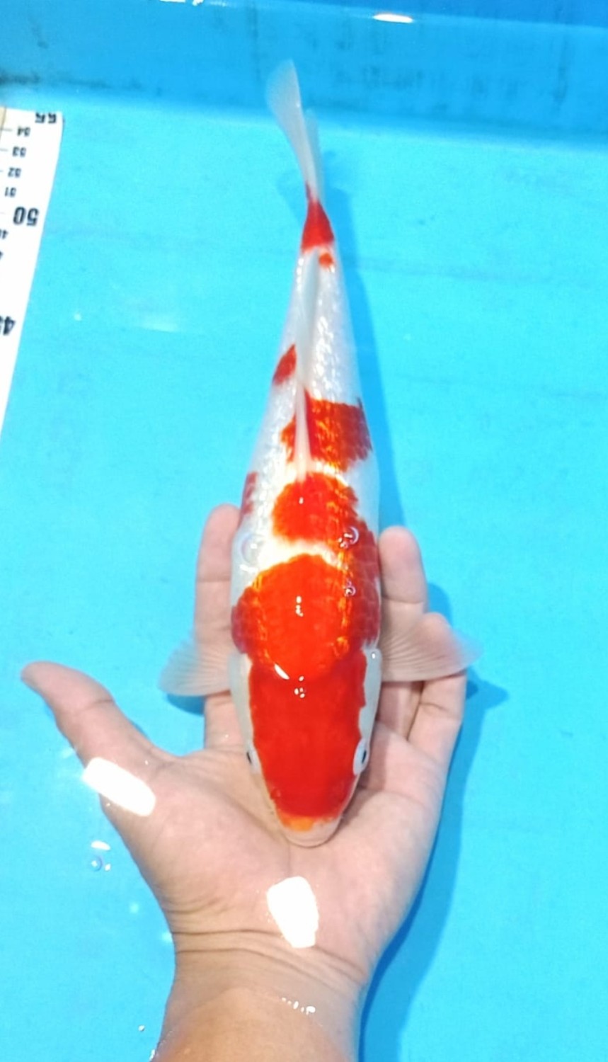 Juara 3