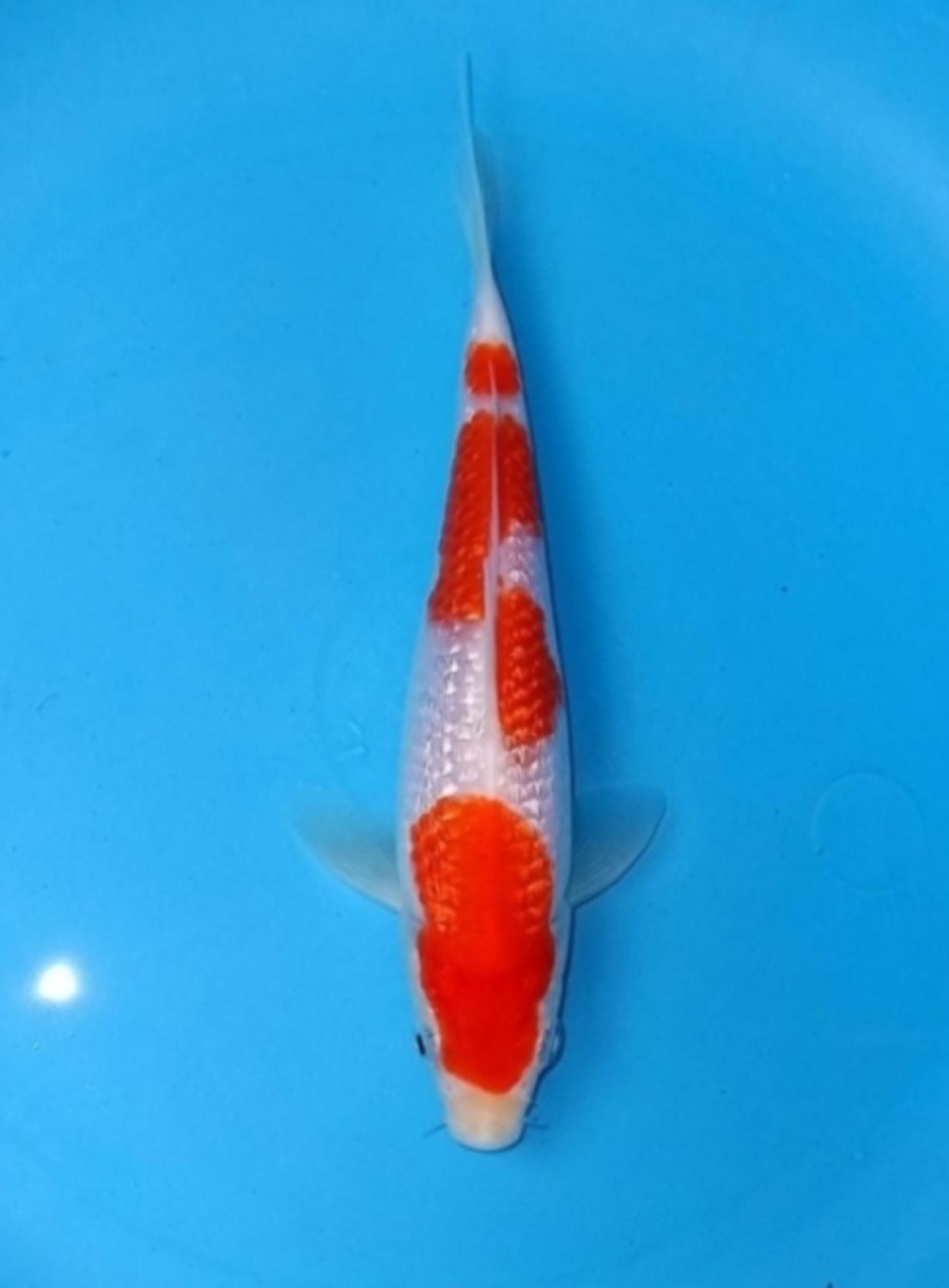 Juara 2