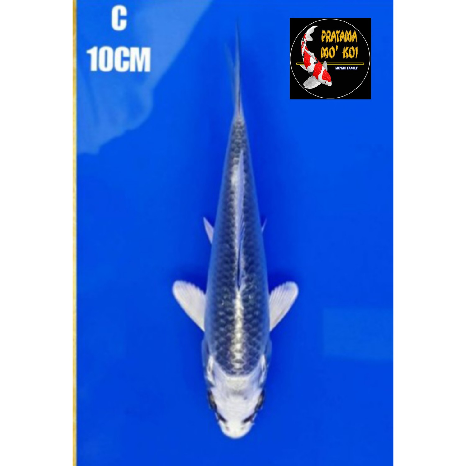 Juara 1