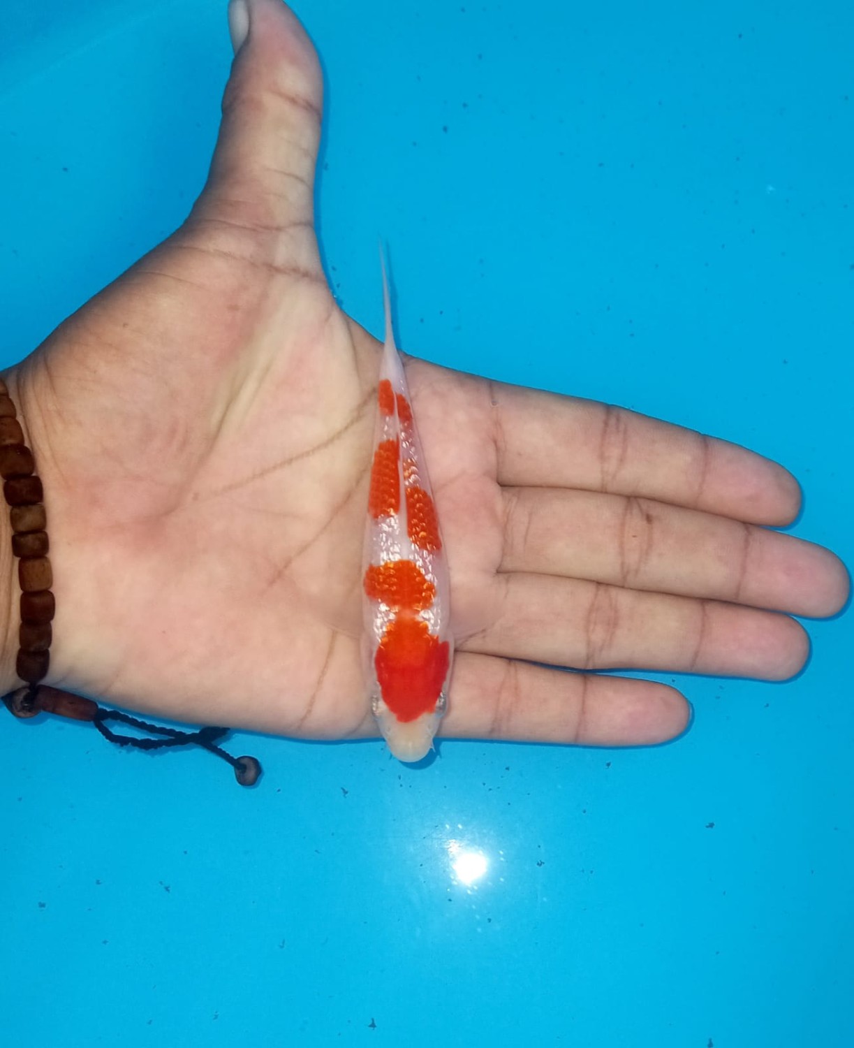 Juara 4