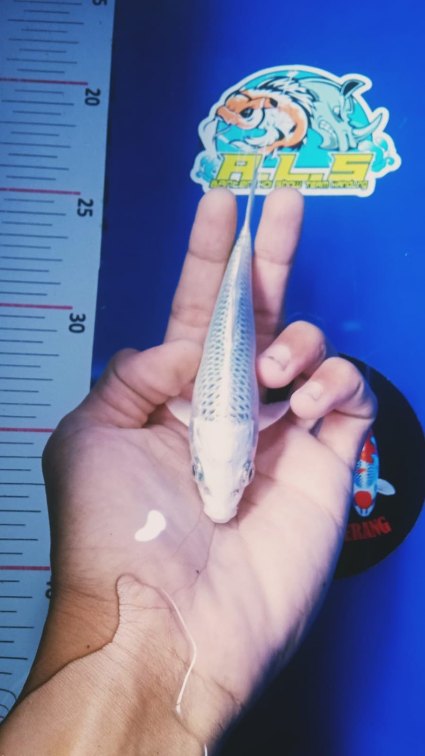 Juara 4