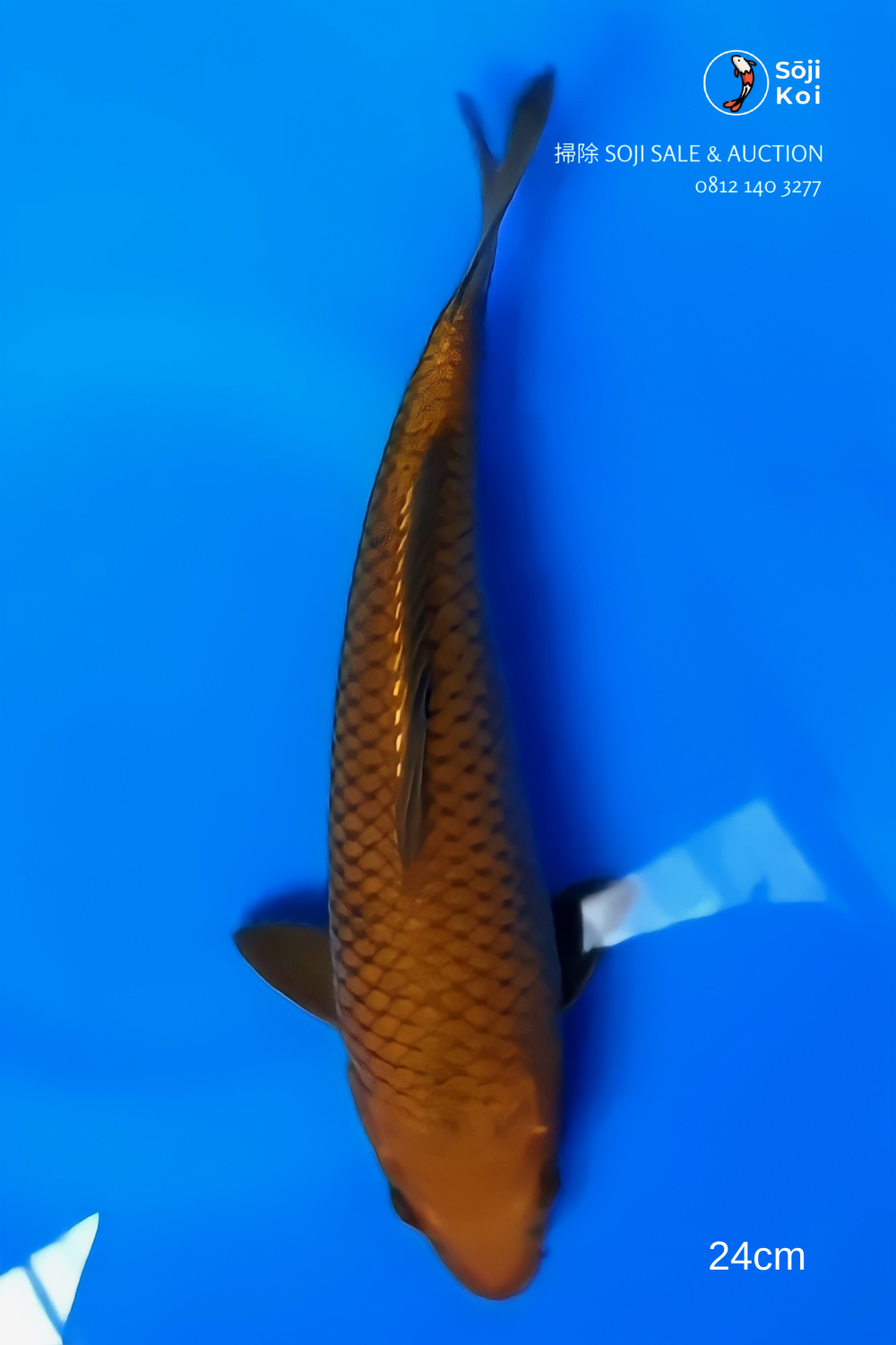 Juara 2