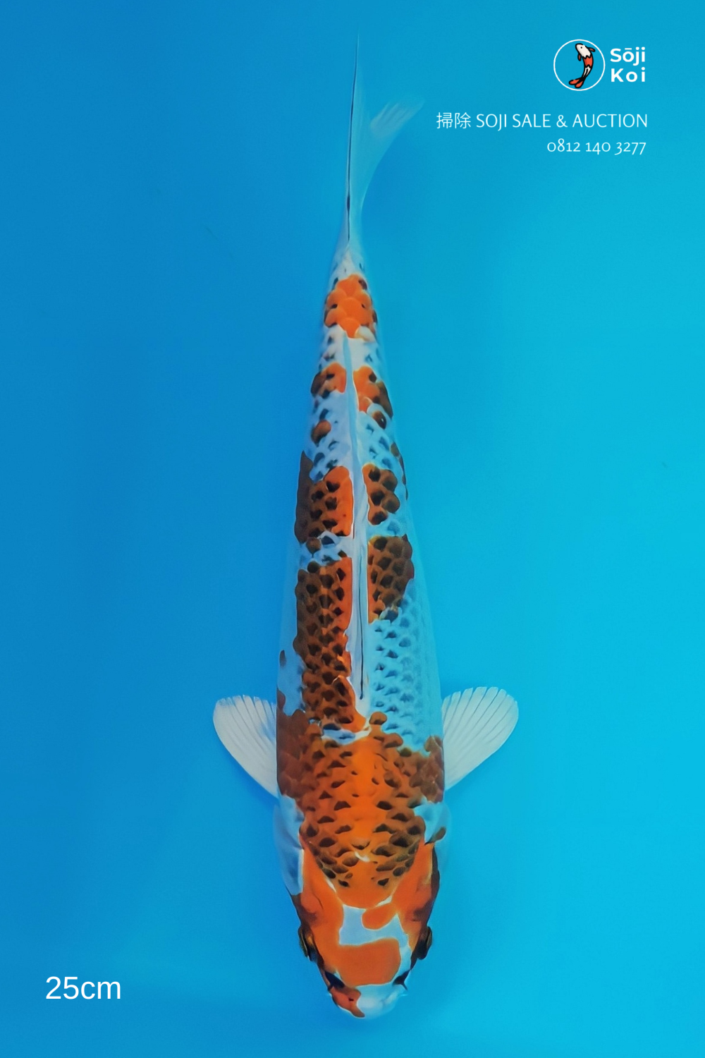 Juara 2
