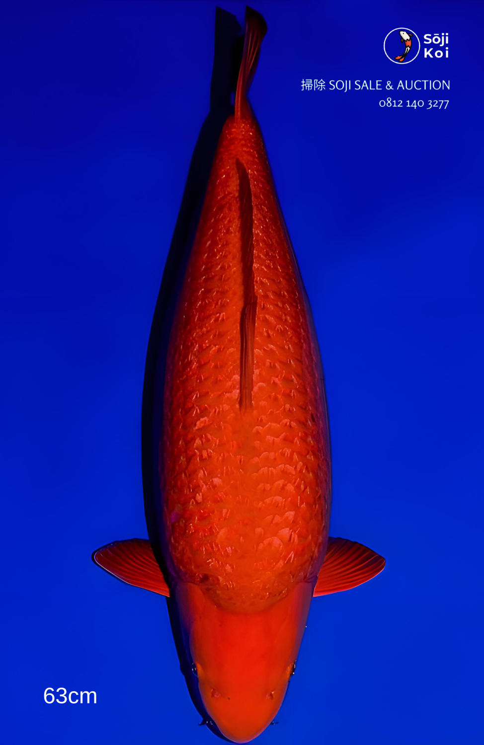 Juara 4