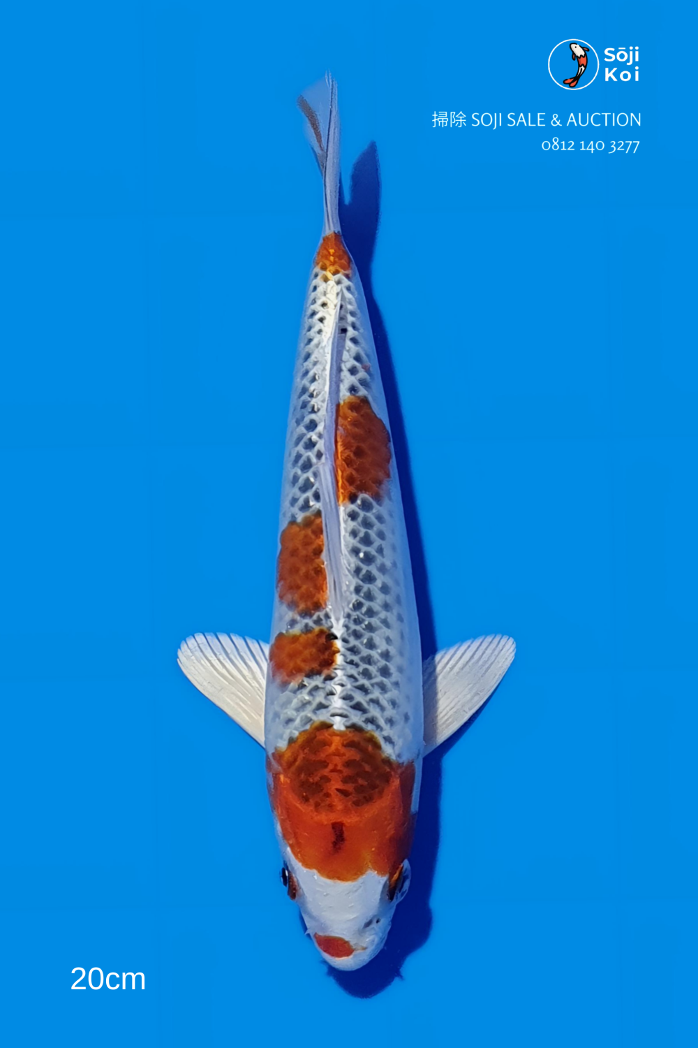 Juara 4