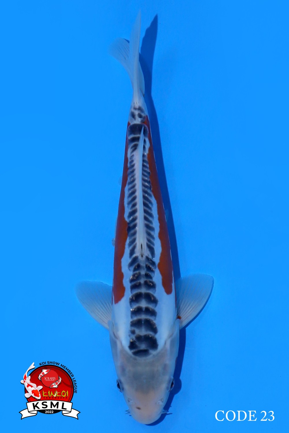Juara 1