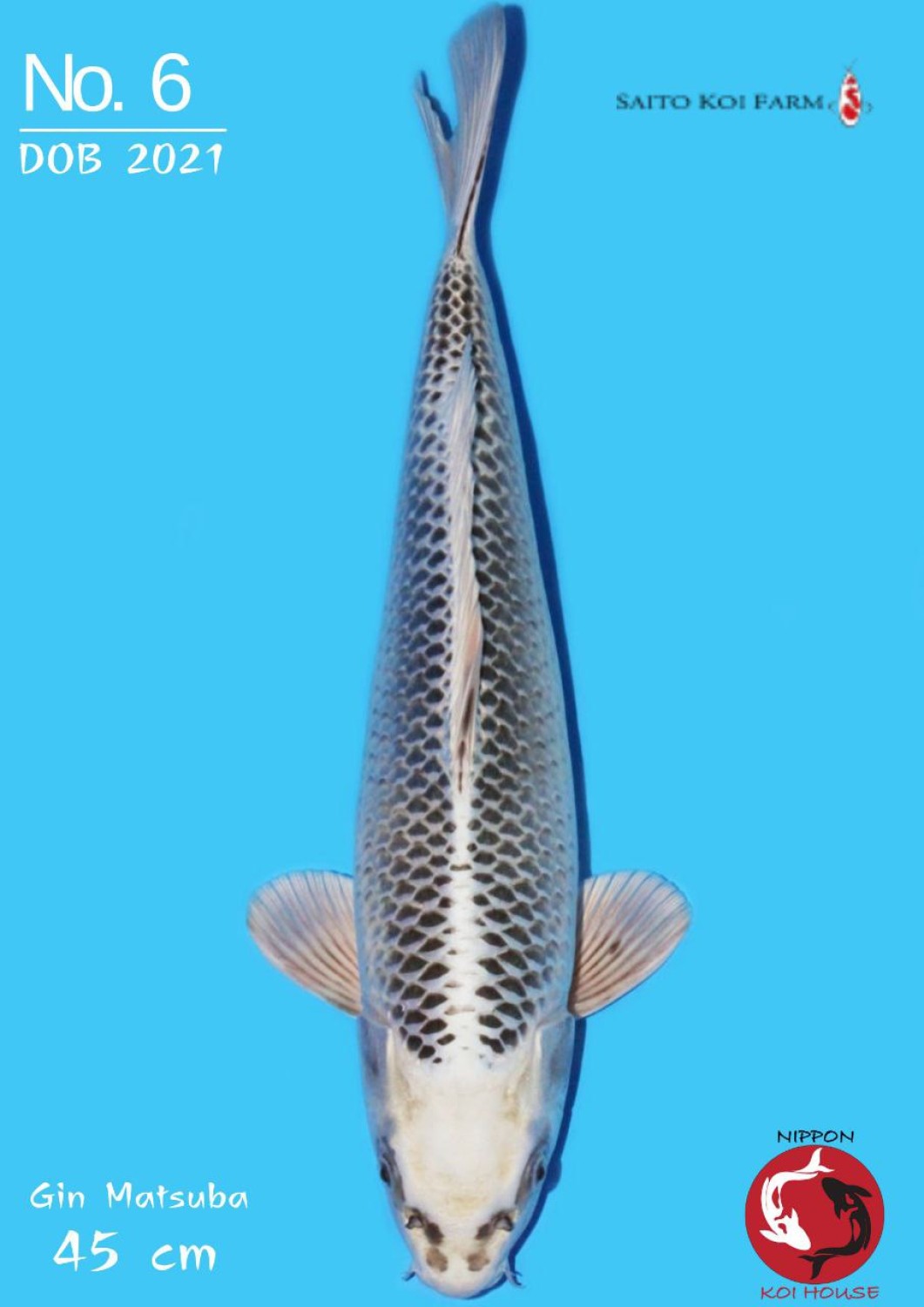 Juara 3
