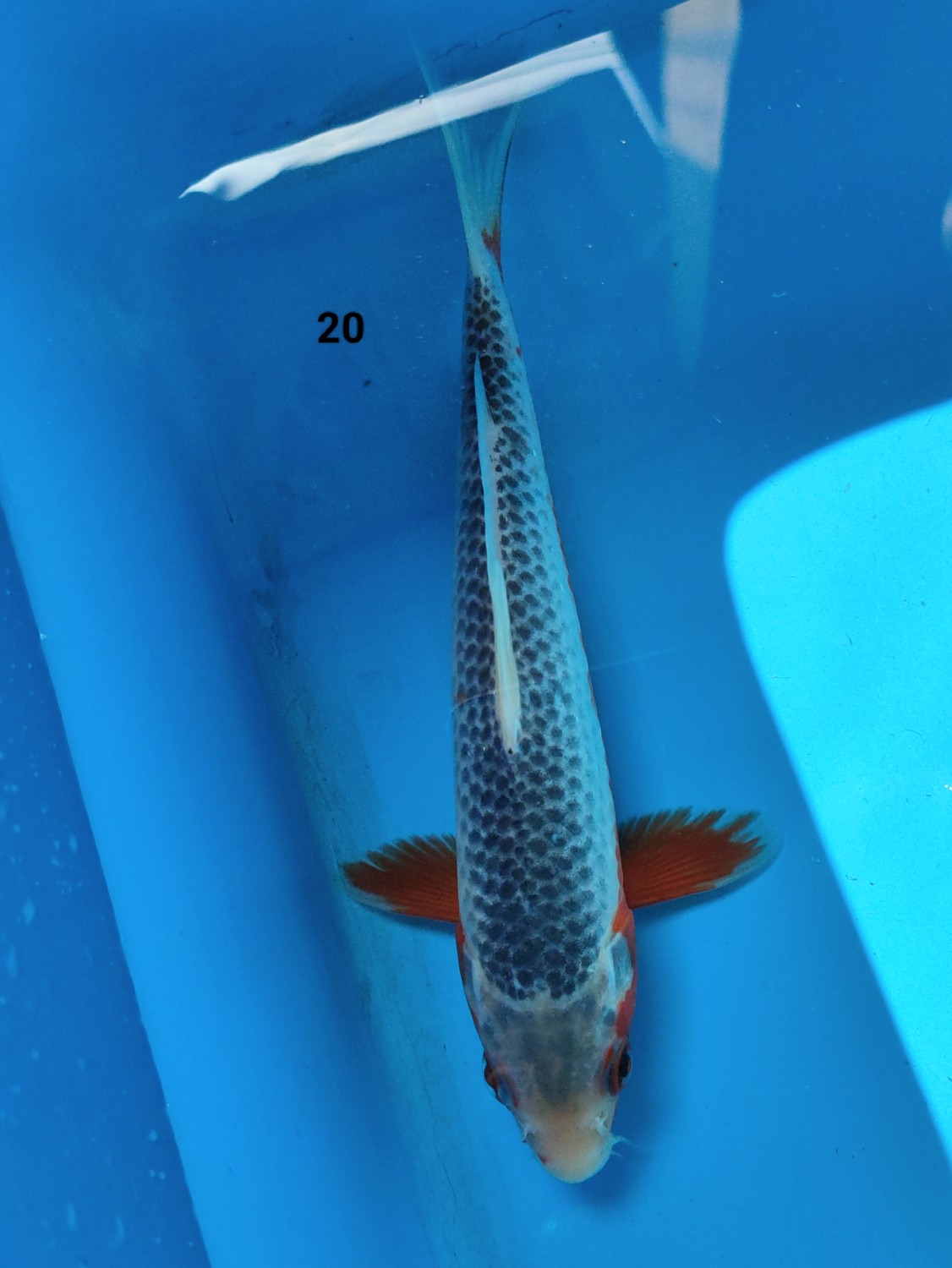 Juara 2