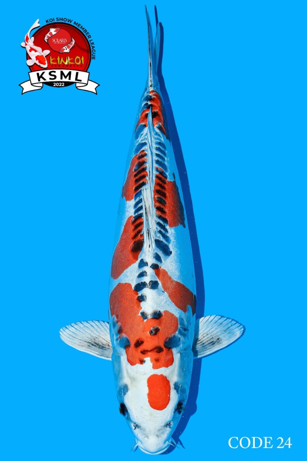 Juara 1