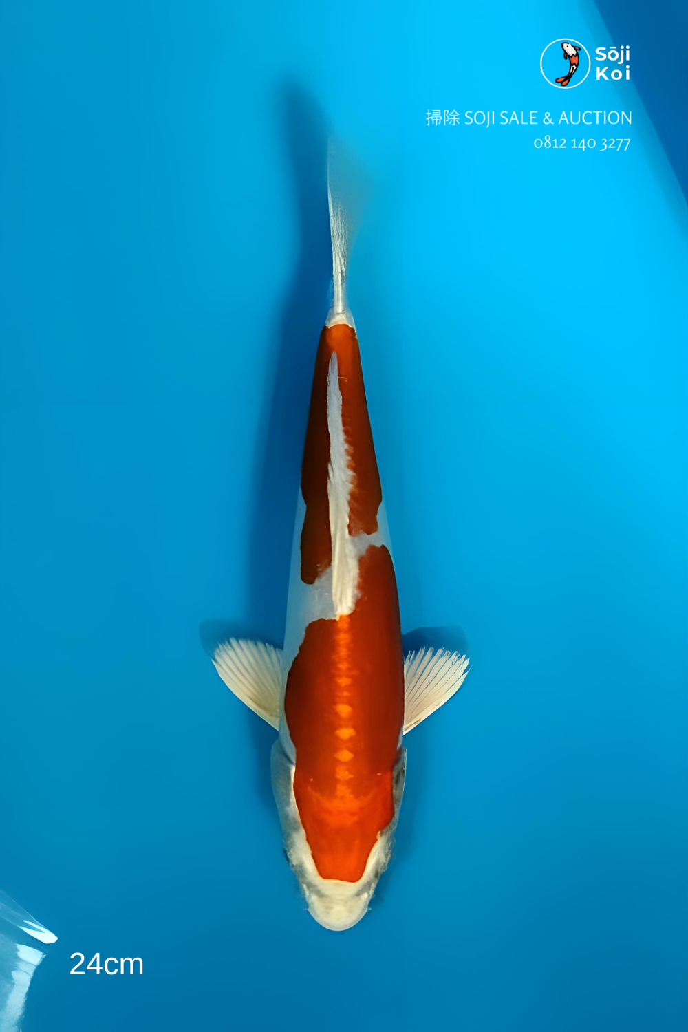Juara 1