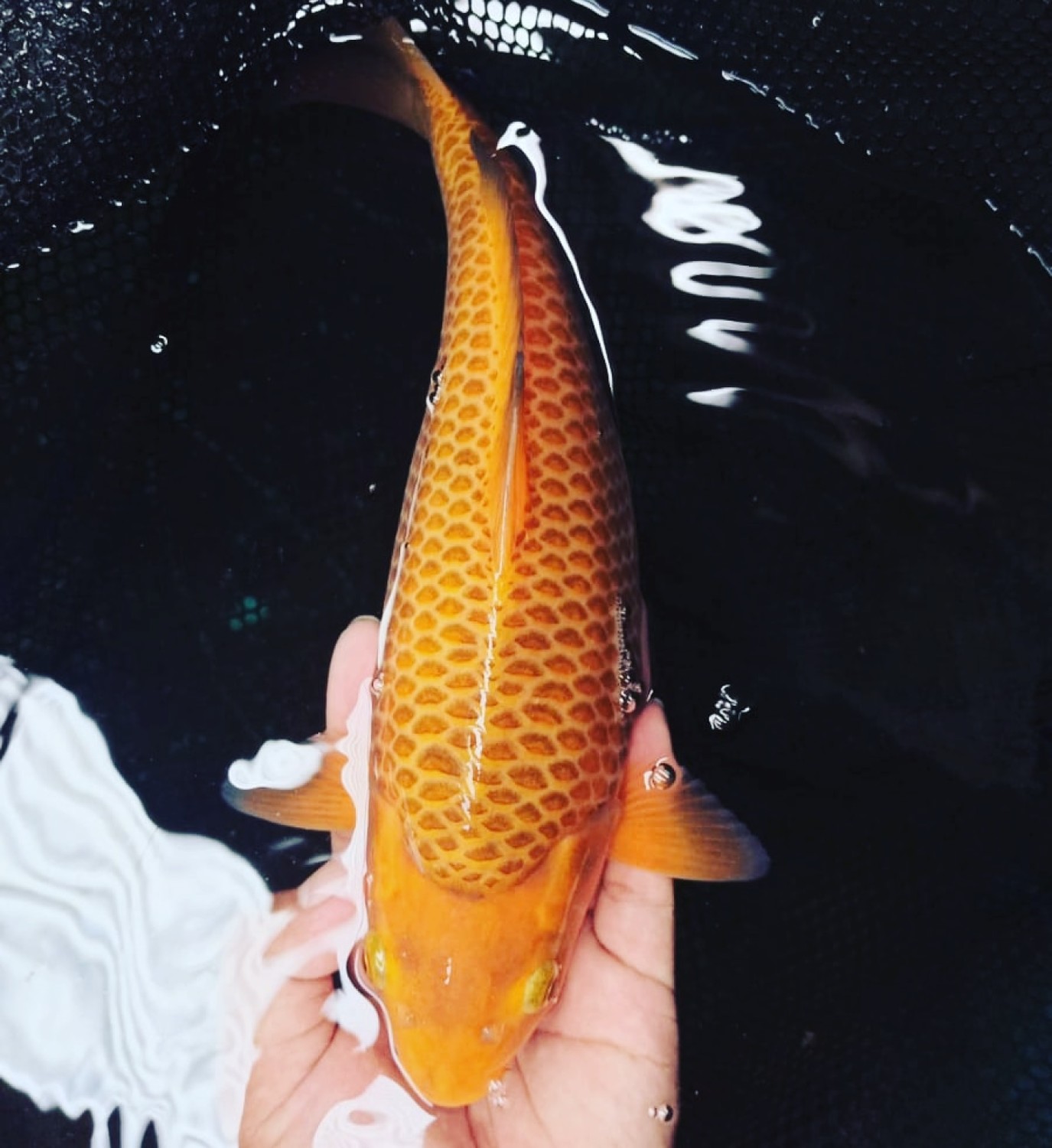 Juara 1