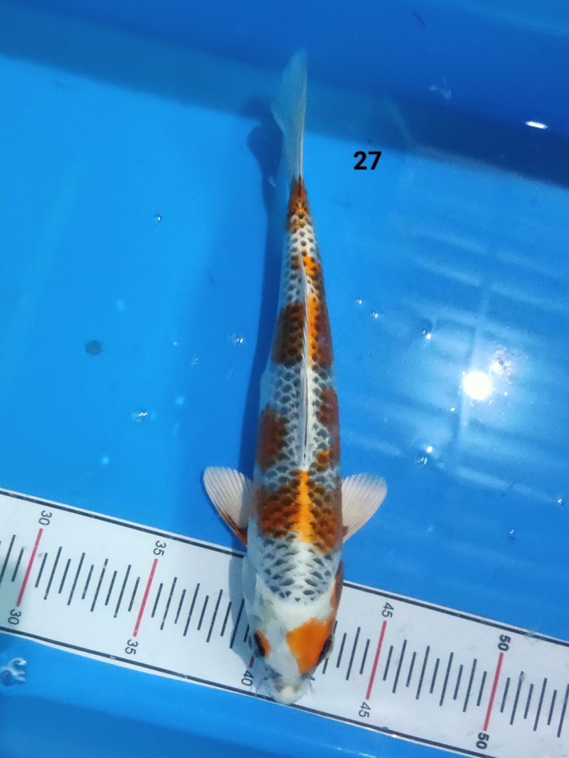 Juara 2