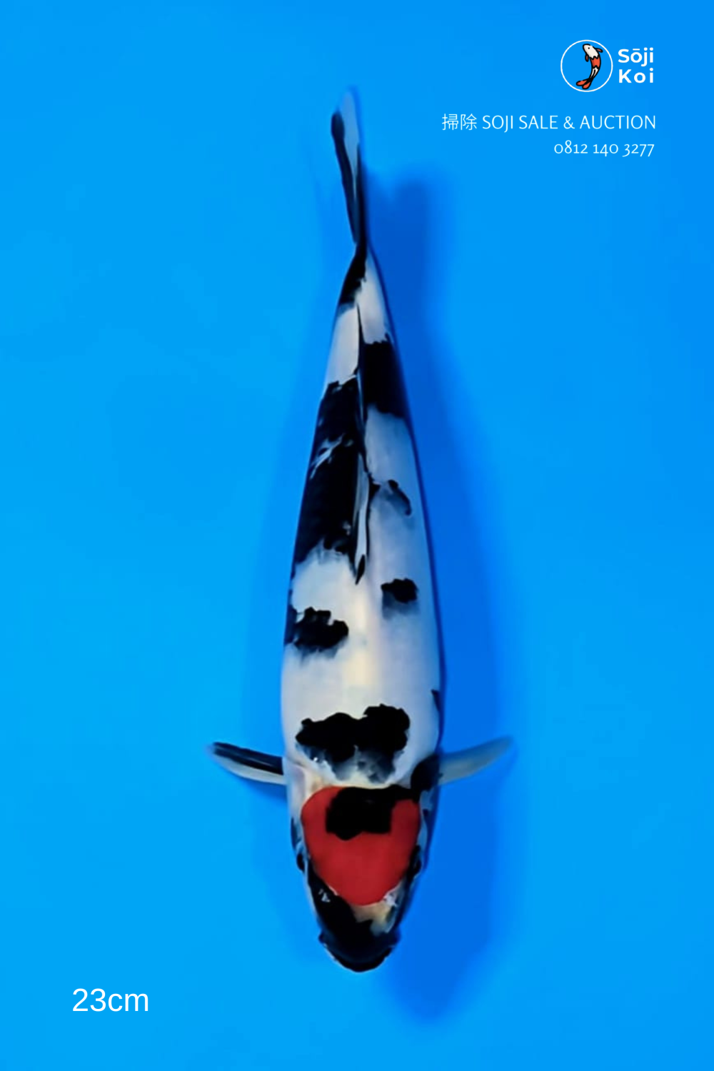 Juara 1