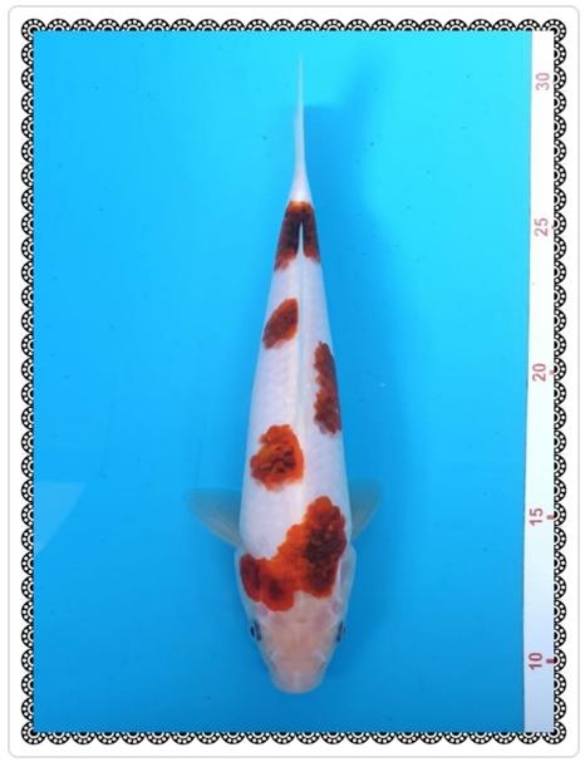 Juara 4