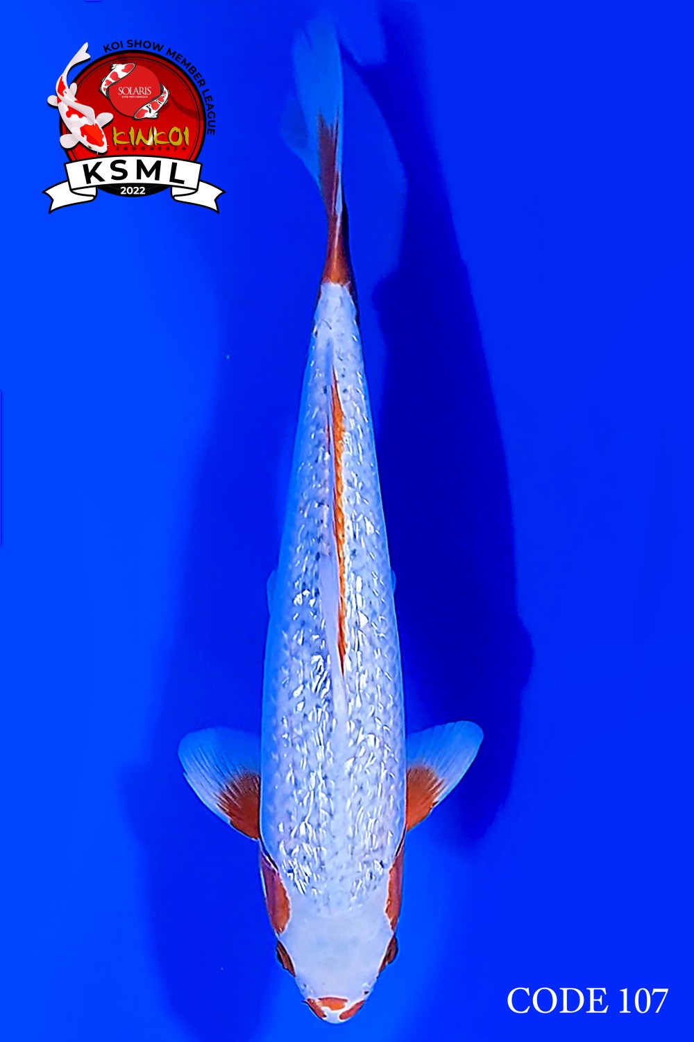 Juara 4