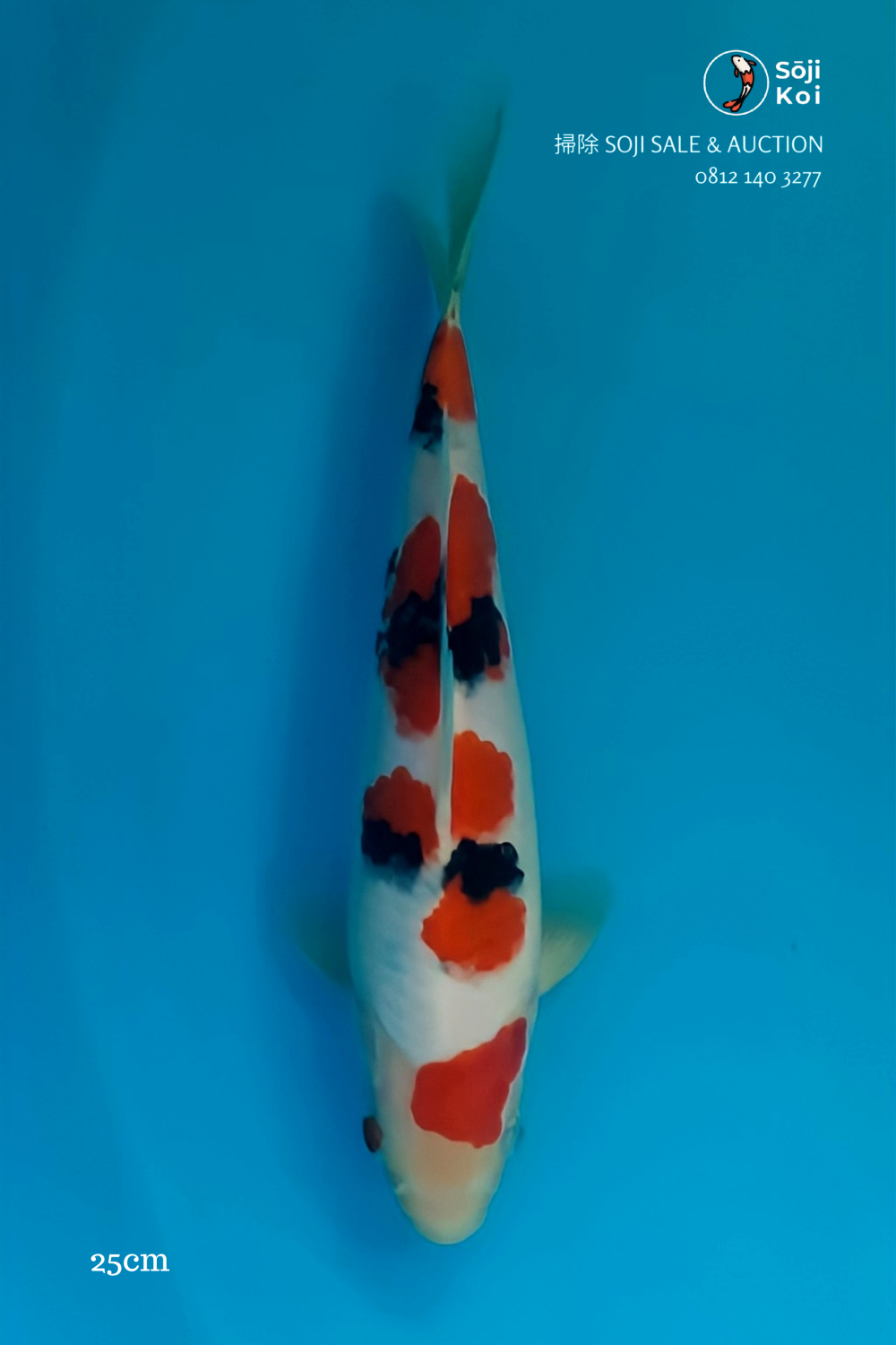 Juara 1