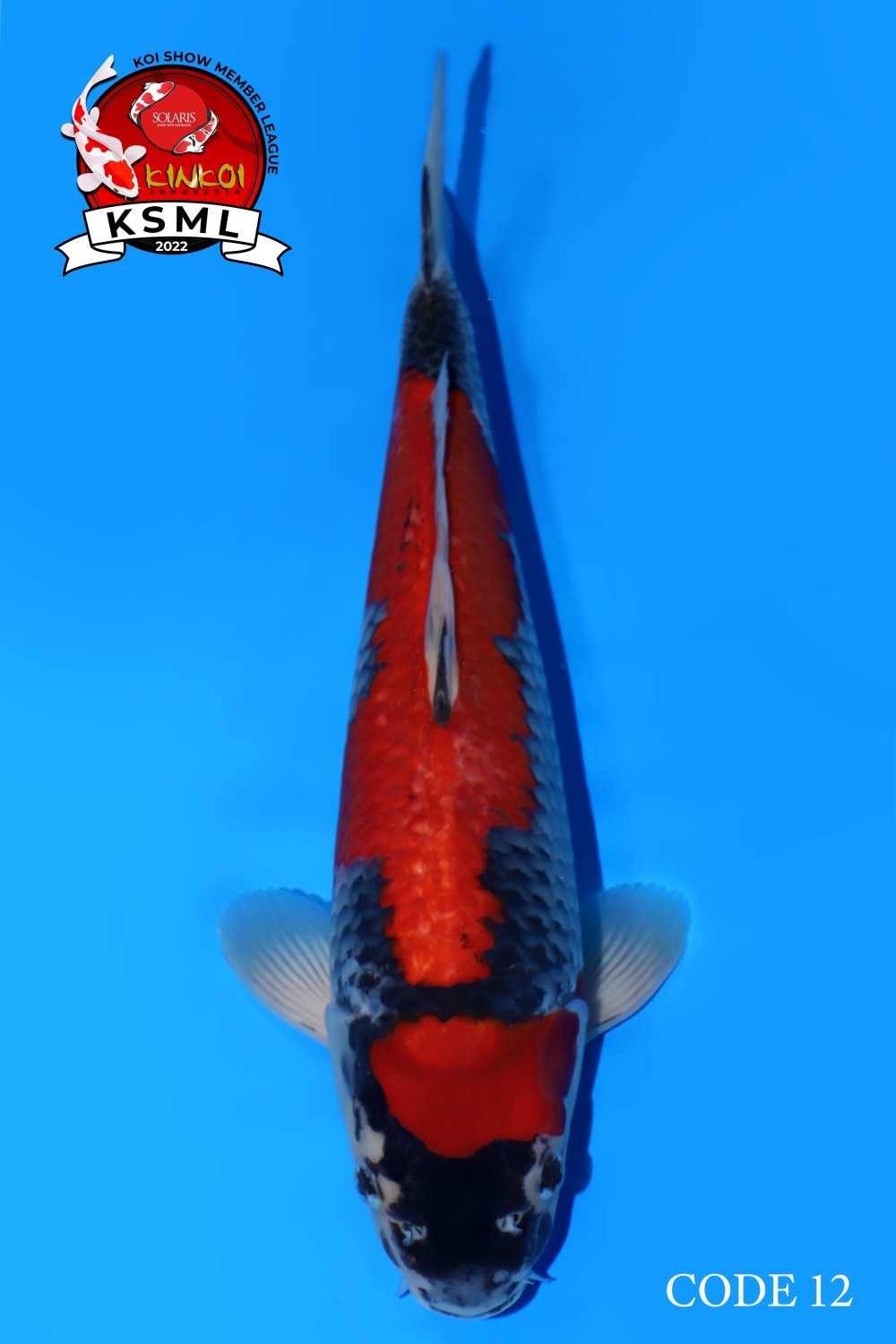 Juara 2