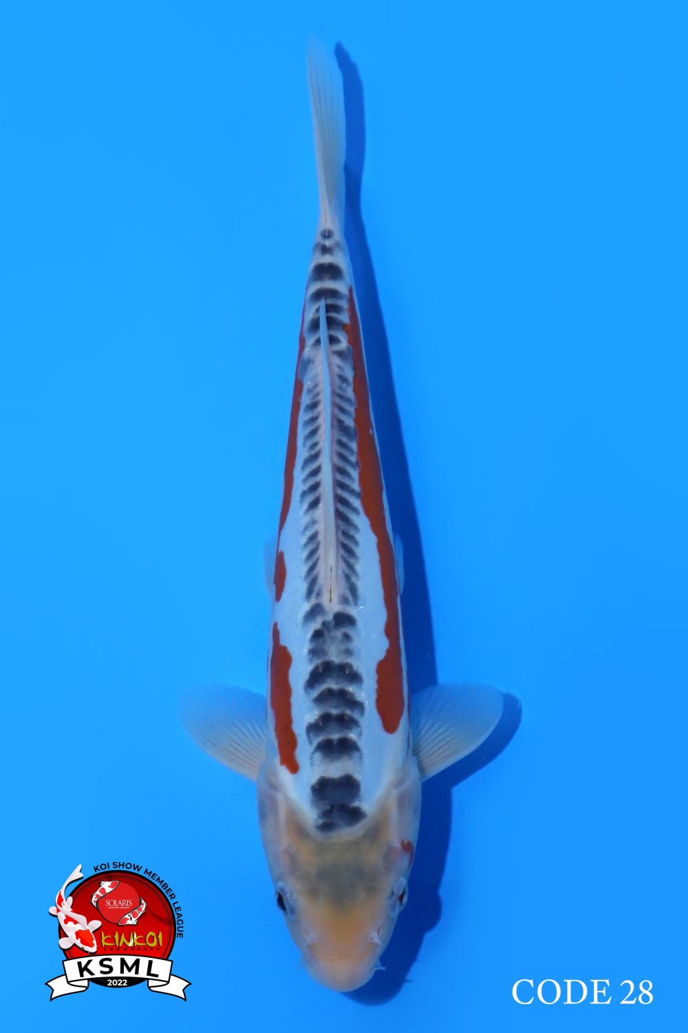 Juara 2