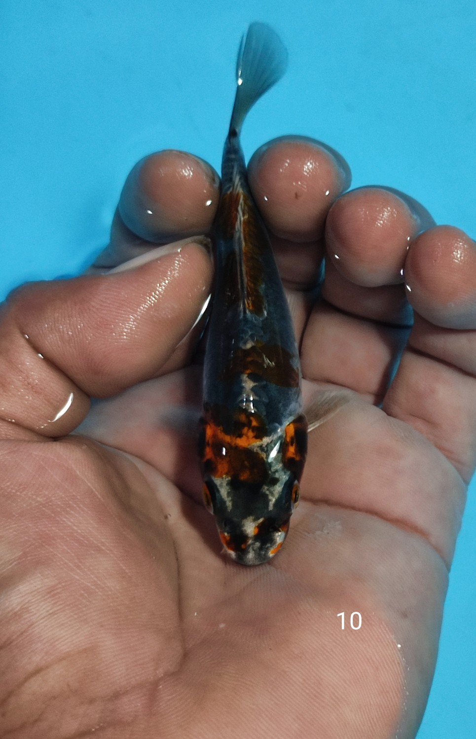 Juara 2