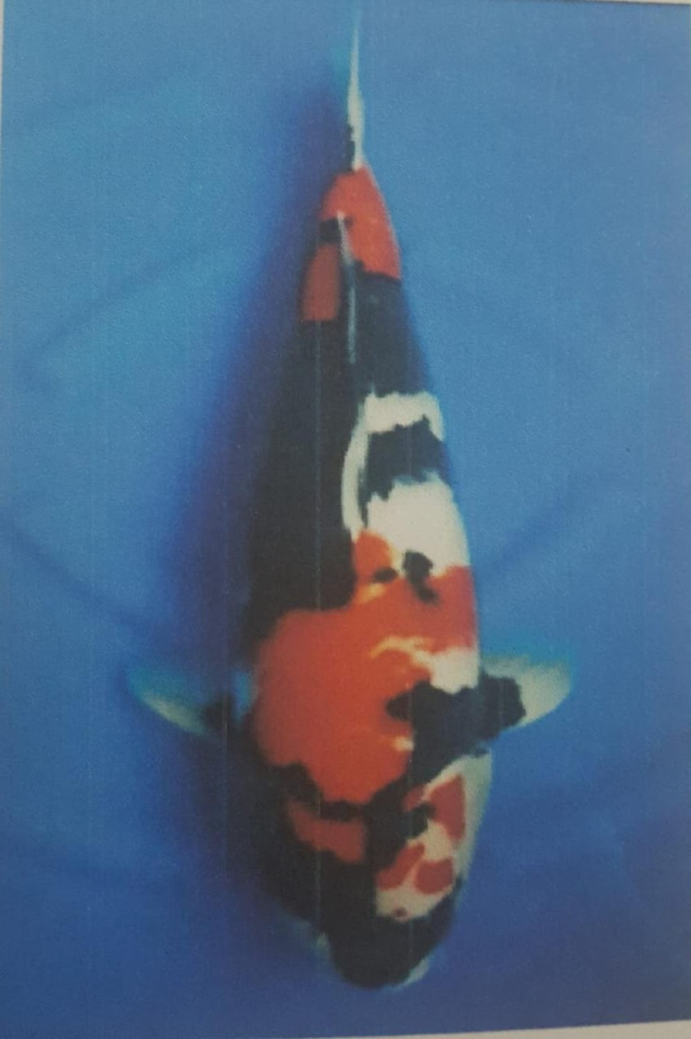 Juara 2
